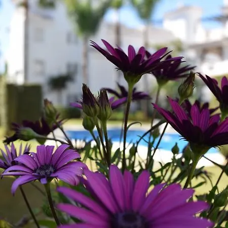Serinamar Villas Los Naranjos Marbella